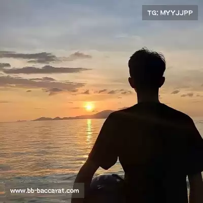 柳琴果